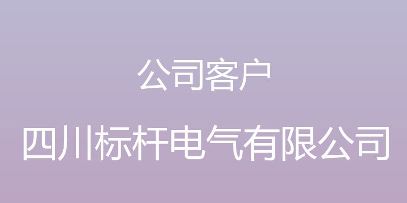 公司客户 - 四川标杆电气有限公司